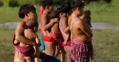 Garimpo desacelera, mas continua inviabilizando o atendimento de saúde da população Yanomami