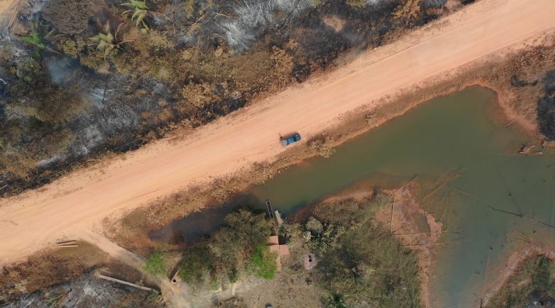 Tribunal de Contas do Amazonas inicia auditoria para avaliar controle da gestão florestal no estado