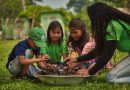 Moda consciente reforça proteção da Amazônia