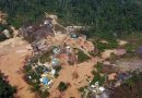 Garimpo ilegal e crime organizado: quem lucra com a destruição da floresta