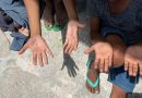 Trabalho infantil recua no Brasil, mas Norte ainda concentra os maiores índices