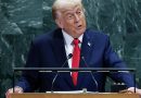 Trump fala em “excelente química” com Lula e anuncia reunião após encontro na ONU