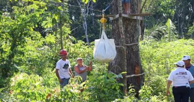 Sistema de cabos da Embrapa reduz esforço humano e reinventa o transporte na Amazônia