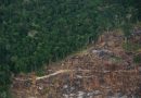 “Amazonas Protegido” marca nova etapa no enfrentamento ambiental