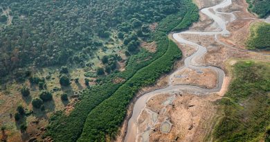 Governo libera nova ajuda emergencial para cidades da Amazônia atingidas pela seca severa