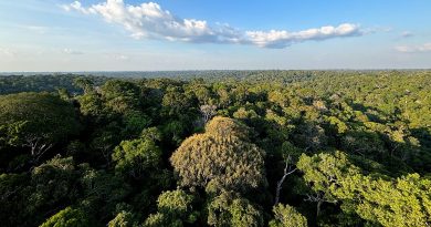 Vitórias e limites: o que a COP30 entregou — e o que ainda deve à Amazônia