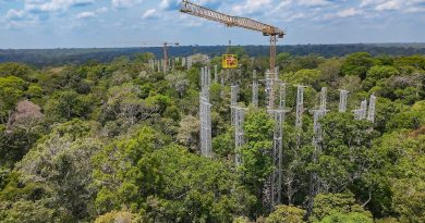 O futuro do planeta está sendo testado perto de Manaus