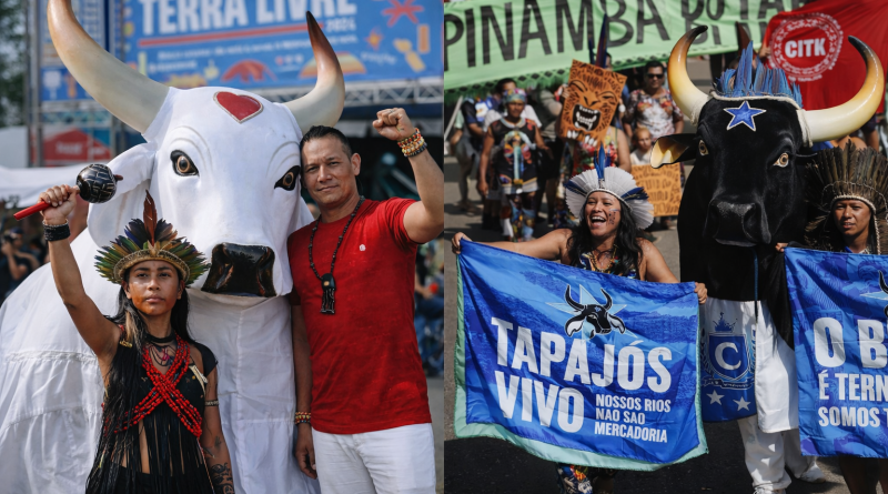 Bumbás de Parintins ocupam Brasília e transformam cultura em ato político no ATL 2026