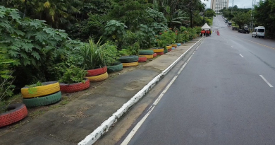 Semulsp transforma lixão em jardim ecológico e reforça ações ambientais em Manaus Semulsp transforma lixão em jardim ecológico e reforça ações ambientais em Manaus