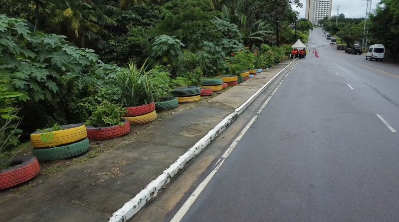 Semulsp transforma lixão em jardim ecológico e reforça ações ambientais em Manaus