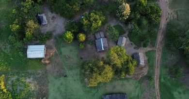 Amazonas reduz burocracia para acelerar reconhecimento de territórios indígenas e tradicionais Amazonas reduz burocracia para acelerar reconhecimento de territórios indígenas e tradicionais