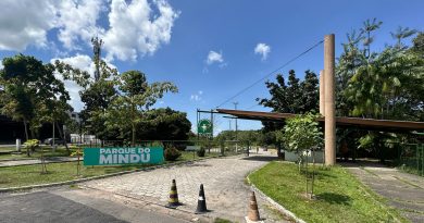 Banzerê no Mindu une música, memória e floresta urbana Banzerê no Mindu une música, memória e floresta urbana