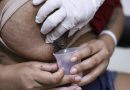 Agosto Dourado alerta para pressão da indústria de fórmulas