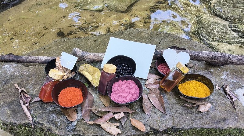 Estudantes de Manaus criam arte com pigmentos amazônicos