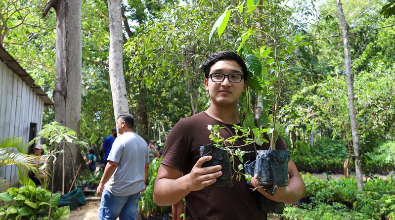 Manaus celebra Dia da Árvore com recorde de plantio e doação de mudas