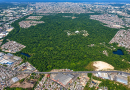 Floresta de 700 hectares resiste entre zonas Sul e Leste de Manaus