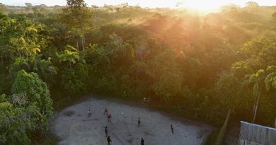 Amazonas reforça combate a incêndios com novos brigadistas