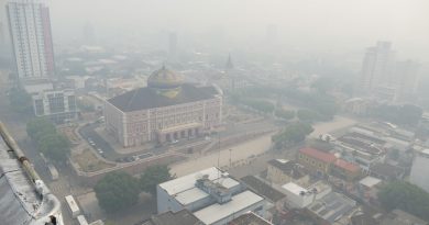 Fumaça em Manaus revela o custo humano das queimadas Fumaça em Manaus revela o custo humano das queimadas