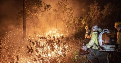 Amazonas registra 1,3 mil focos de calor em apenas 12 dias