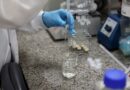 Brasília (DF), 26/05/2026 - O laboratório de nanotecnologia da Embrapa produz em caráter experimental substitutos veganos de carne vermelha, salmão e lula por meio de uma impressora carregada de massa feita do extrato de sementes. Foto: Valter Campanato/Agência Brasil