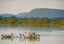 FOTO DE ARQUIVO - Novas áreas de proteção ambiental no Cerrado e no Pantanal. Parque Nacional do Pantanal. Foto: Palê Zuppani/ICMbio