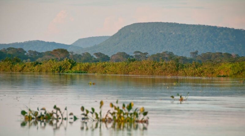 FOTO DE ARQUIVO - Novas áreas de proteção ambiental no Cerrado e no Pantanal. Parque Nacional do Pantanal. Foto: Palê Zuppani/ICMbio