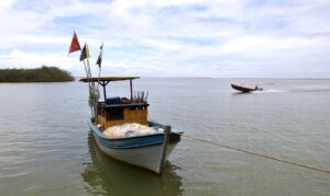 Foz do rio Doce, distrito de Regência
